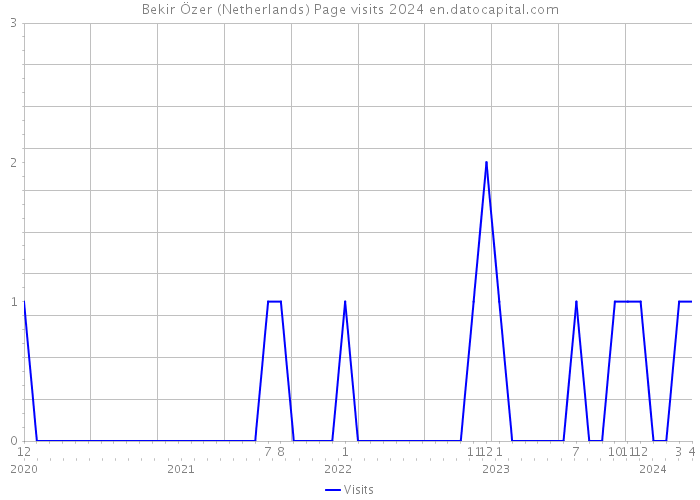 Bekir Özer (Netherlands) Page visits 2024 