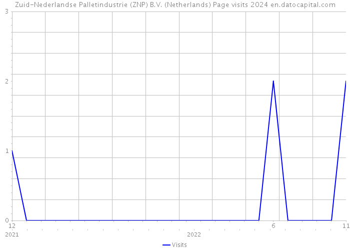 Zuid-Nederlandse Palletindustrie (ZNP) B.V. (Netherlands) Page visits 2024 