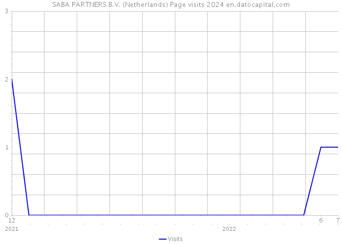 SABA PARTNERS B.V. (Netherlands) Page visits 2024 