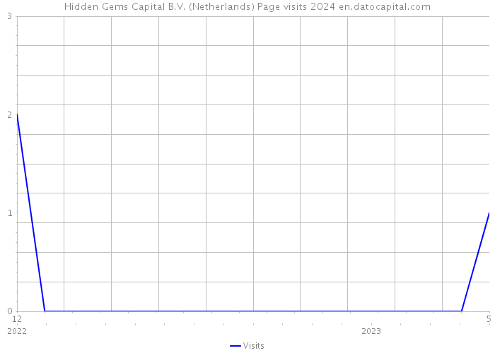 Hidden Gems Capital B.V. (Netherlands) Page visits 2024 