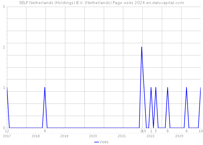 SELP Netherlands (Holdings) B.V. (Netherlands) Page visits 2024 