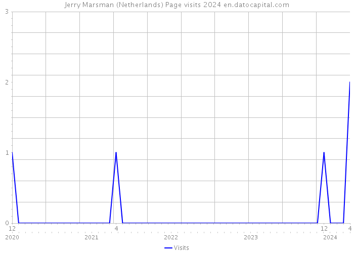 Jerry Marsman (Netherlands) Page visits 2024 