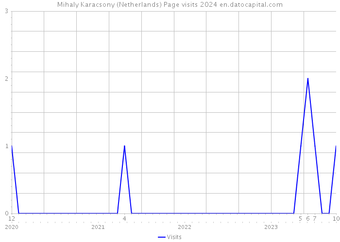 Mihaly Karacsony (Netherlands) Page visits 2024 