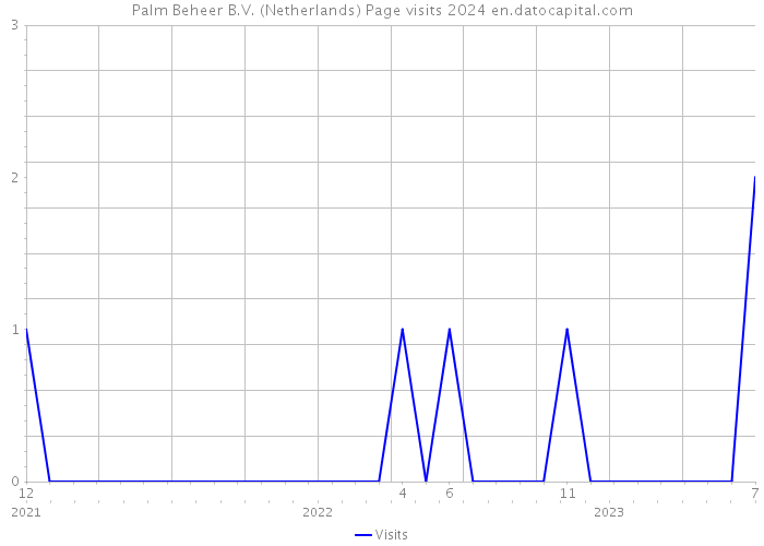 Palm Beheer B.V. (Netherlands) Page visits 2024 