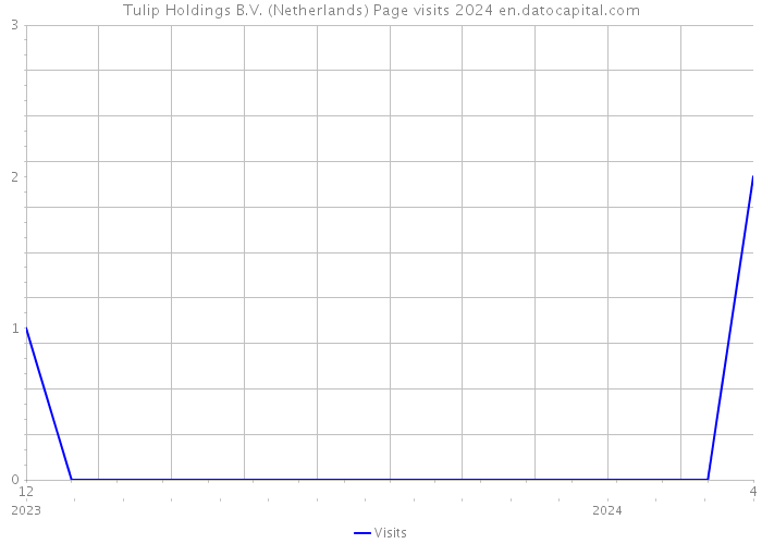 Tulip Holdings B.V. (Netherlands) Page visits 2024 