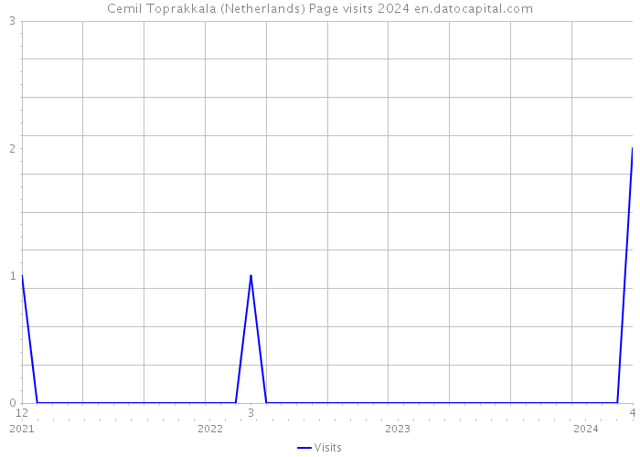 Cemil Toprakkala (Netherlands) Page visits 2024 