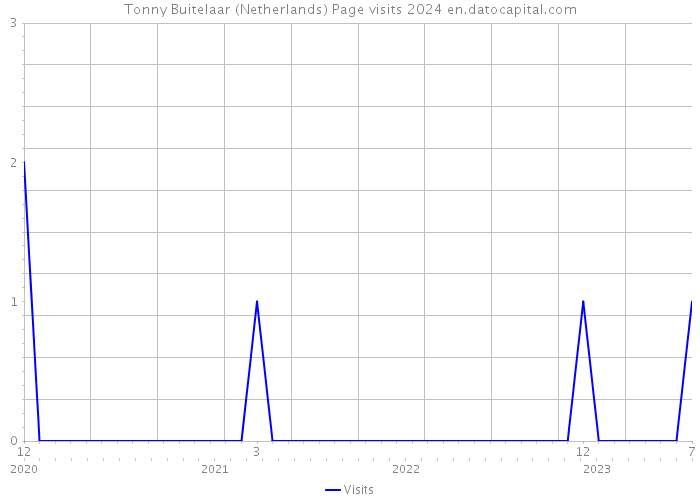 Tonny Buitelaar (Netherlands) Page visits 2024 