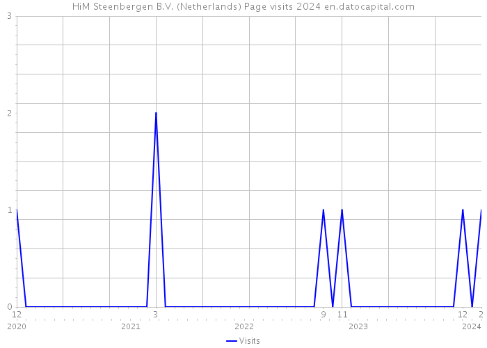 HiM Steenbergen B.V. (Netherlands) Page visits 2024 
