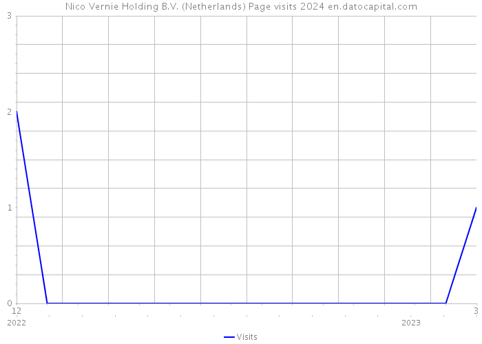 Nico Vernie Holding B.V. (Netherlands) Page visits 2024 