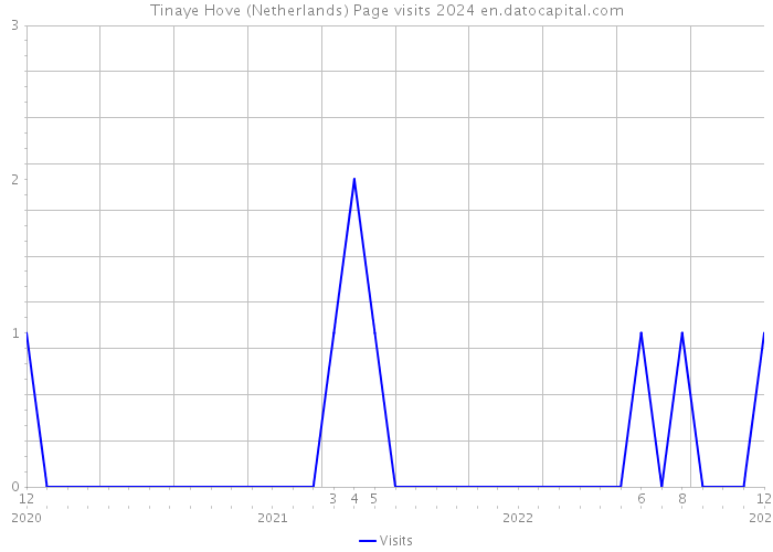 Tinaye Hove (Netherlands) Page visits 2024 