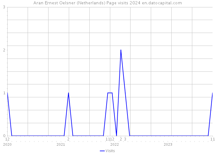 Aran Ernest Oelsner (Netherlands) Page visits 2024 