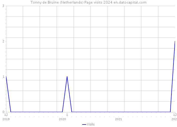 Tonny de Bruine (Netherlands) Page visits 2024 