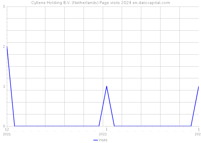 Cyllene Holding B.V. (Netherlands) Page visits 2024 