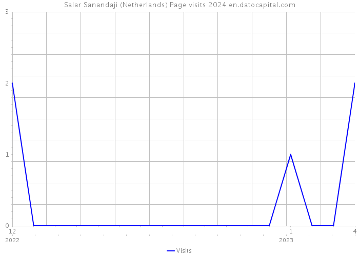 Salar Sanandaji (Netherlands) Page visits 2024 