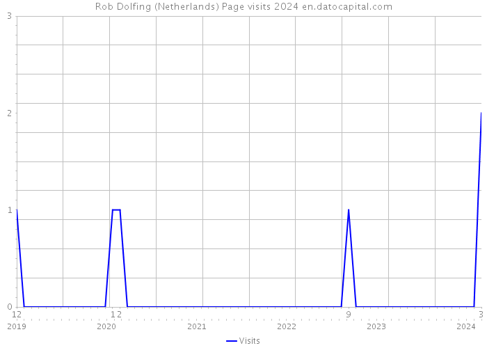Rob Dolfing (Netherlands) Page visits 2024 
