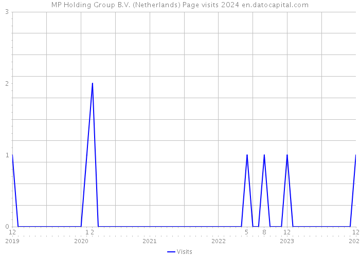 MP Holding Group B.V. (Netherlands) Page visits 2024 