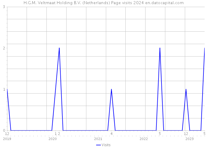 H.G.M. Veltmaat Holding B.V. (Netherlands) Page visits 2024 