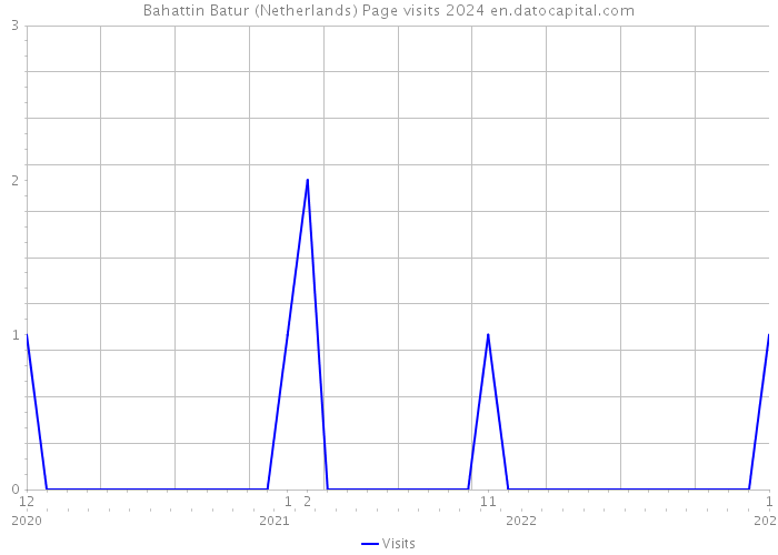 Bahattin Batur (Netherlands) Page visits 2024 