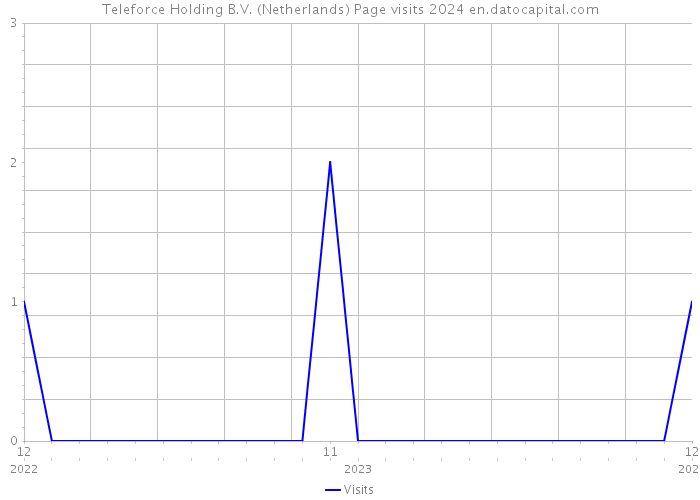 Teleforce Holding B.V. (Netherlands) Page visits 2024 