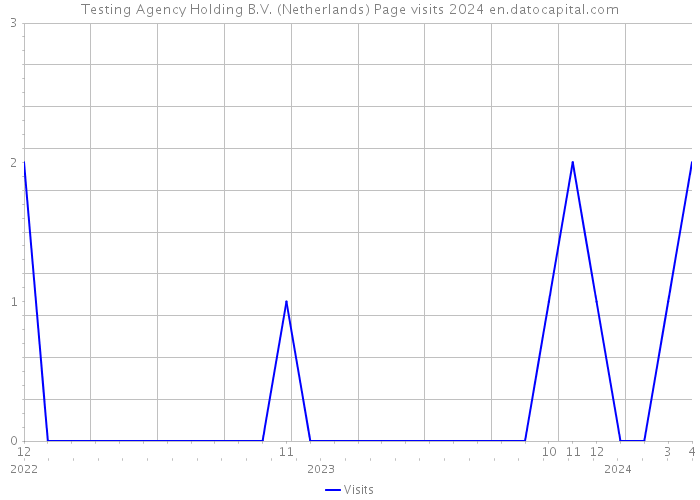 Testing Agency Holding B.V. (Netherlands) Page visits 2024 