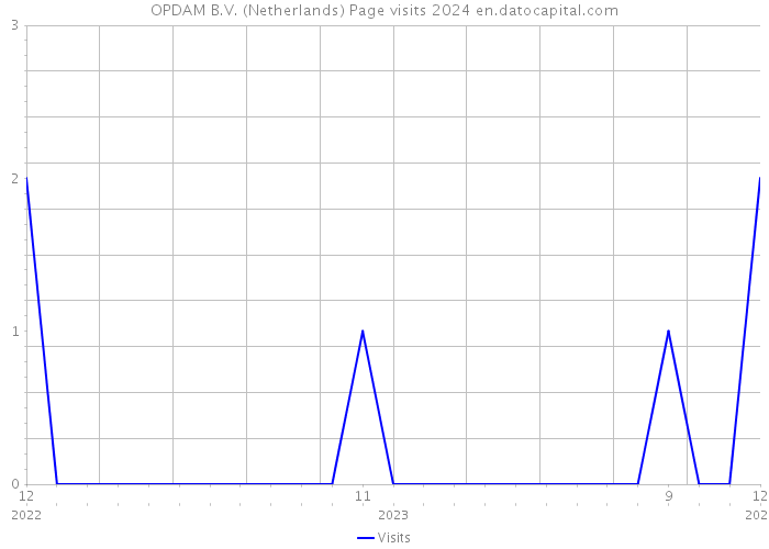 OPDAM B.V. (Netherlands) Page visits 2024 