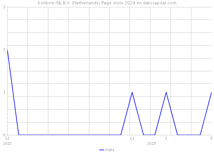 Kolibrie-NL B.V. (Netherlands) Page visits 2024 