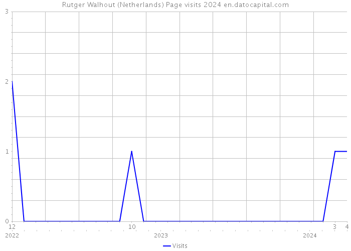 Rutger Walhout (Netherlands) Page visits 2024 