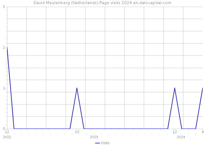 David Meulenberg (Netherlands) Page visits 2024 
