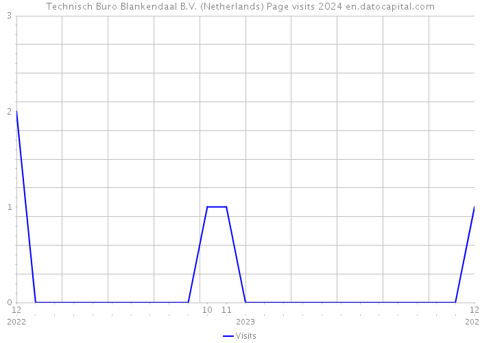 Technisch Buro Blankendaal B.V. (Netherlands) Page visits 2024 