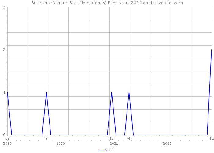 Bruinsma Achlum B.V. (Netherlands) Page visits 2024 