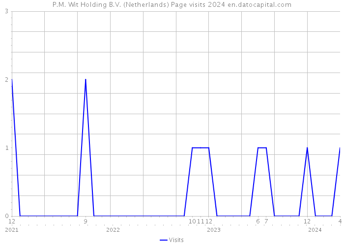 P.M. Wit Holding B.V. (Netherlands) Page visits 2024 