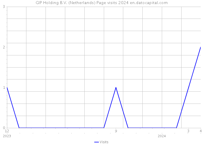 GIP Holding B.V. (Netherlands) Page visits 2024 