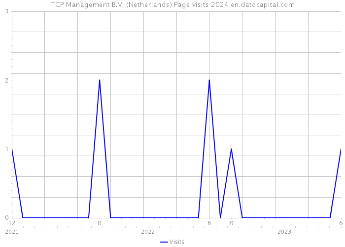 TCP Management B.V. (Netherlands) Page visits 2024 