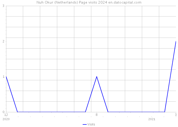 Nuh Okur (Netherlands) Page visits 2024 