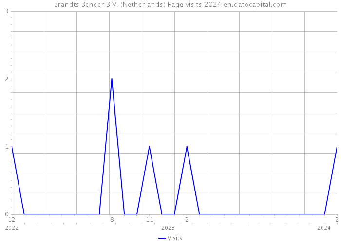 Brandts Beheer B.V. (Netherlands) Page visits 2024 