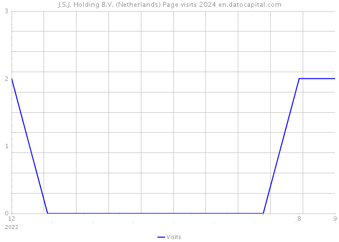 J.S.J. Holding B.V. (Netherlands) Page visits 2024 