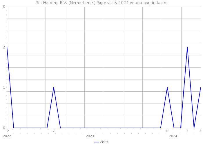 Rio Holding B.V. (Netherlands) Page visits 2024 