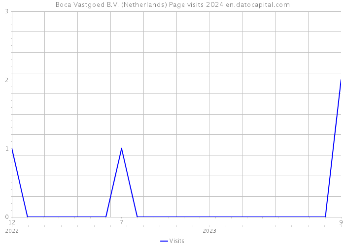 Boca Vastgoed B.V. (Netherlands) Page visits 2024 
