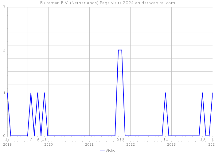 Buiteman B.V. (Netherlands) Page visits 2024 