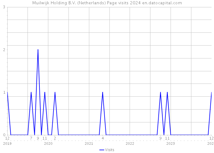 Muilwijk Holding B.V. (Netherlands) Page visits 2024 