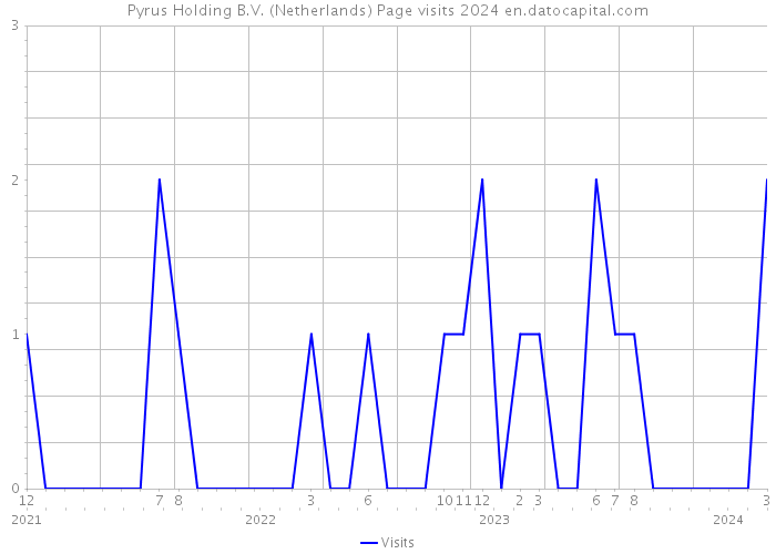 Pyrus Holding B.V. (Netherlands) Page visits 2024 