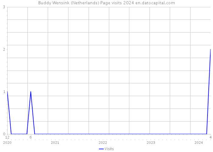 Buddy Wensink (Netherlands) Page visits 2024 