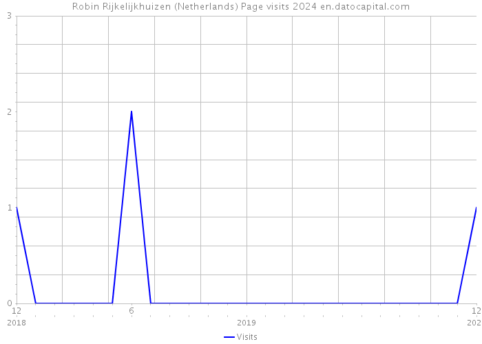 Robin Rijkelijkhuizen (Netherlands) Page visits 2024 