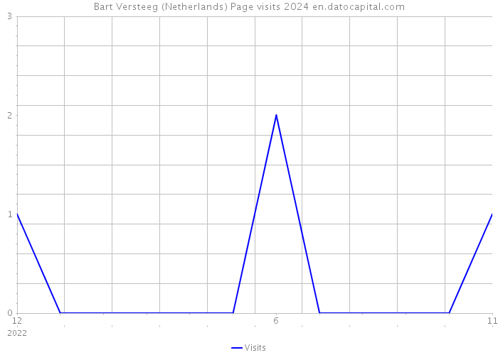 Bart Versteeg (Netherlands) Page visits 2024 