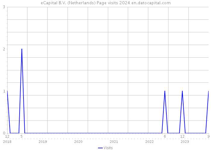 eCapital B.V. (Netherlands) Page visits 2024 