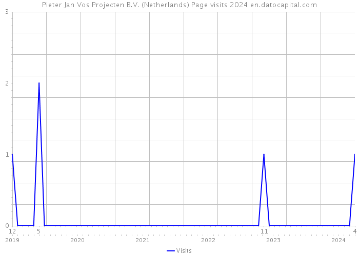 Pieter Jan Vos Projecten B.V. (Netherlands) Page visits 2024 