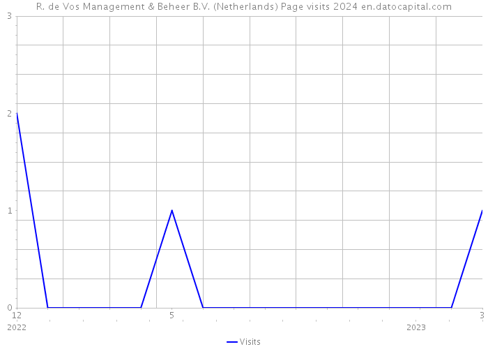 R. de Vos Management & Beheer B.V. (Netherlands) Page visits 2024 