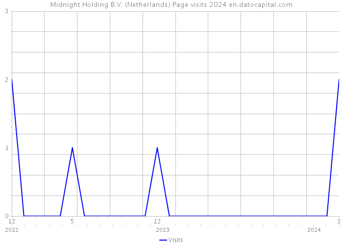 Midnight Holding B.V. (Netherlands) Page visits 2024 
