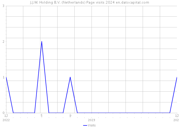 J.J.W. Holding B.V. (Netherlands) Page visits 2024 