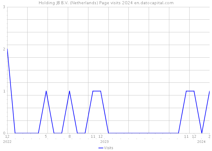 Holding JB B.V. (Netherlands) Page visits 2024 